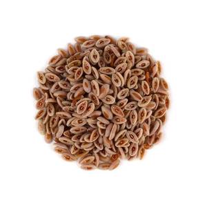 Haute qualité 100% pur Isabgol graines graines de psyllium nourriture sauvage sac d'emballage en vrac prix de gros - Product Image 1