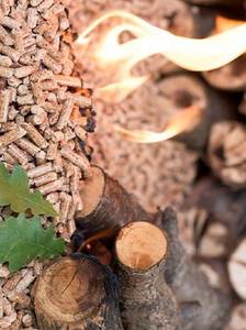 Oferta de Pellets de Biomasa para Estufas de Leña de Vietnam, 6mm y 8mm, Combustible de Madera Mixta, Alto Valor Calorífico, Producto Ecológico - Product Image 5