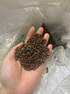 HOT SALE Blue Lotus 2025 Dried Papaya Seeds <b>Enzyme</b> Rich Superfood For Daily Health - Product Image 5