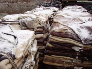 Wholesale Cheap Price 2025 Kenyan Hides and Skins Cow/Sheep Grade 1 Ready to Ship Hides/Skin at Affordable Prices Good Quality - Product Image 4