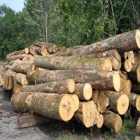 Bûches de bois de pin en bois dur, prix de la forêt naturelle, vente en gros