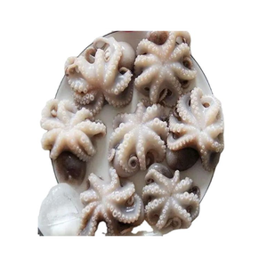 Pulpo bebé congelado de calidad de exportación, entero, ofrecido para distribuidores de gran volumen. - Product Image 3