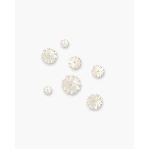 ลูกปัดเปลือกหอยมุกสีขาวลายดอกเบญจมาศ - Product Image 4