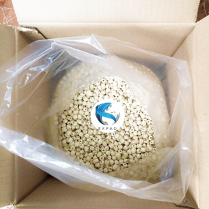 Graines de lotus séchées pures et naturelles-remplies de bonté - Product Image 6