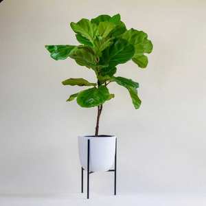 Pots de jardinière faits à la main indiens de qualité supérieure jardinières de jardin décoratives intérieur extérieur qualité d'exportation - Product Image 6