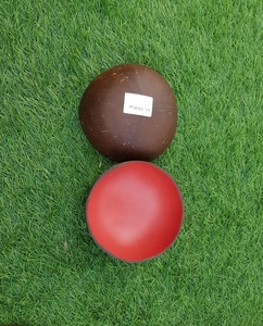 Top Seller Polished Husk Bowls Dinnerware Sets Minimalist Eco Friendly Colorful <b>Coconut</b> <b>Shell</b> Back to School Made in Vietnam - Product Image 5