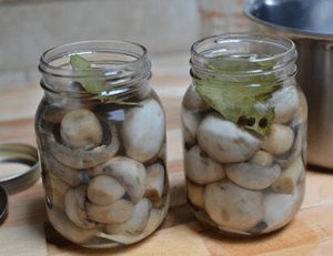 Champignons de paille en conserve de qualité supérieure en saumure, options entières et tranchées du Vietnam pour les acheteurs en gros | Ms Shyn Tran - Product Image 4
