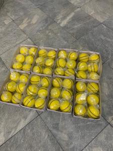 ลูกบอลคริกเก็ตในร่มชุดและอุปกรณ์สำหรับเล่นคริกเก็ตที่คู่ควรกับการแข่งขัน - Product Image 3