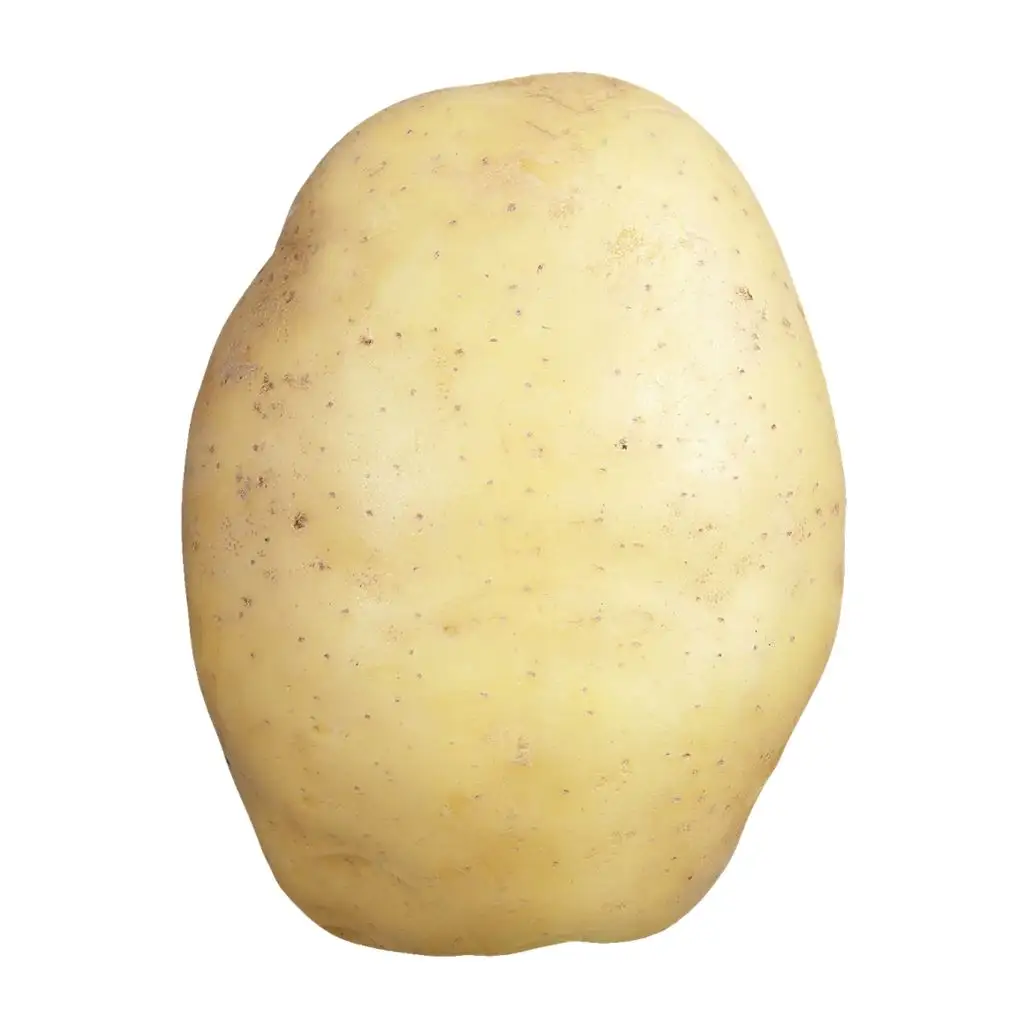 100% patate fresche orientate all'esportazione stile personalizzato peso tipo di origine forma dimensioni prodotto luogo modello OVALShape dal Bangladesh