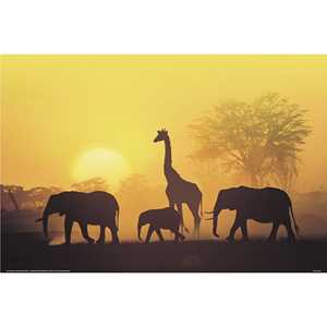 Póster de pared del atardecer de Kenia - Product Image 1