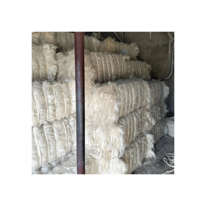 Fibra de sisal blanca limpia para cuerda textil y construcción - Product Image 6