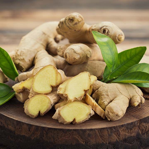 Raíz de jengibre fresco vietnamita rico en nutrientes naturales y sabor para cocinar remedios herbales de té - Product Image 5