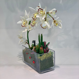 VBV4408 - Rectangular Glass Planter Box <b>Vase</b> - 4 x 4 x 8 - Product Image 2