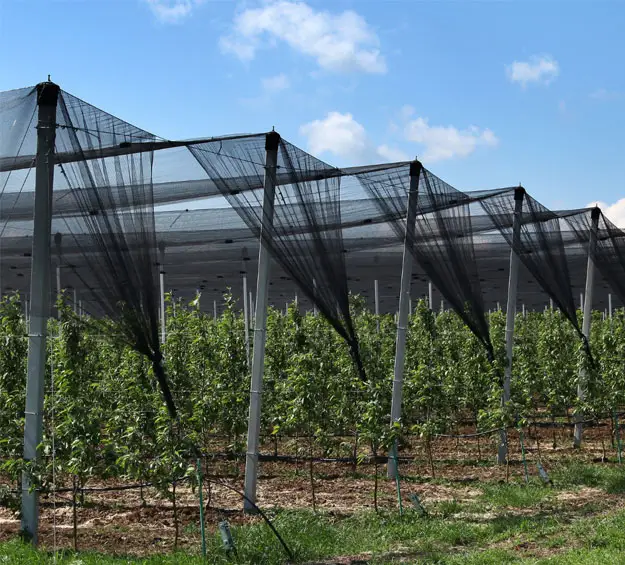 BEST SUPPLIER Anti-Hail Net for Garden and Greenhouse BEST Quality Nets Made in Turkey with Certified