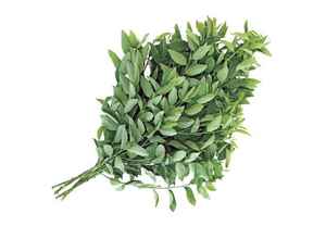 Hojas Dulces Secas al por Mayor a Precio Económico/Hojas Dulces Secas Enteras Más Vendidas de Alta Calidad - Product Image 5