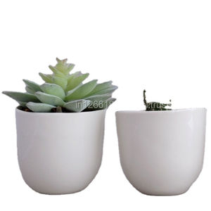 Petits Pots à bonsaï intelligents et Cool-Pot de fleur blanche-intérieur-décoration intérieure-Pot en terre cuite - Product Image 1