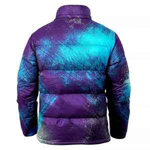 Veste polaire personnalisée pour hommes, légère et à fermeture éclair, col montant, bulle d'hiver écologique, imperméable, non-tissé de haute qualité - Product Image 2