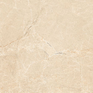 Azulejos esmaltados de porcelana de diseño europeo, fabricación en India para Villa Grande de lujo. - Product Image 3