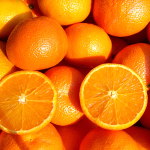 VIETNAM FROZEN ORANGE kualitas tinggi/tanaman baru 2024 harga bagus