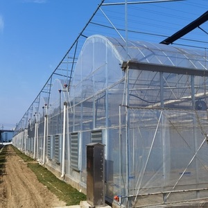 Invernaderos Agrícolas Multi-Span de Doble Cubierta, Gran Tamaño, Película de Plástico PE con Acero Galvanizado, Uso Comercial, Beijing - Product Image 5
