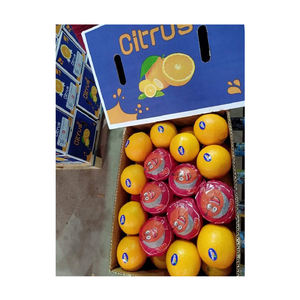 Offre Spéciale de bonne qualité largement vendu égyptien naturel doux délicieux nombril frais Orange/Orange de bali à un prix fiable - Product Image 1