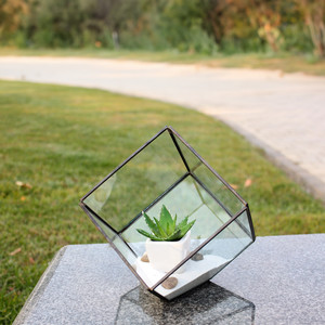 GET0406BK - Terrarium en verre géométrique noir incliné en forme de cube - 8,5 - Product Image 2