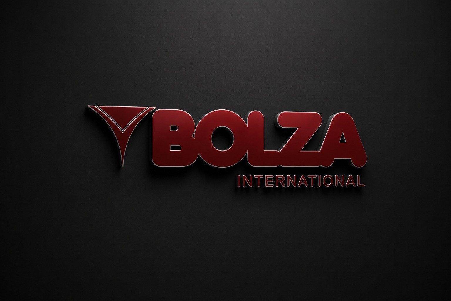 BOLZA INTERNATIONAL logo