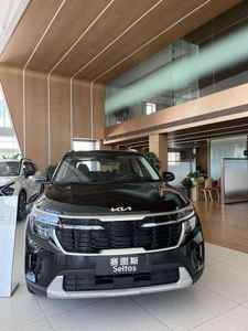 Auto SUV a Gasolina Barato 2025 en Venta, 5 Puertas, 5 Asientos, Vehículo Usado en Perfectas Condiciones, Listo para Enviar - Product Image 5