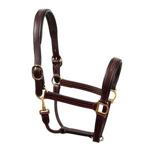 Genuine Indian Leather Horse Halter Fancy <b>Stitching</b> Soft Comfy Padding Wholesale Price Bulk Order Fancy Horse Halter for Sale - Product Image 2