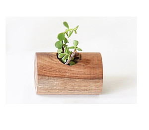 Natural <b>Wood</b> <b>Planter</b> Pot Top Attractive Design Tableware Garden Customized Size <b>Wood</b> <b>Planter</b> Pot - Product Image 5