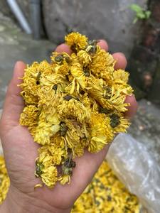 Flores de Manzanilla de alto grado | Infusión de hierbas naturales | Proveedor de exportación a granel - Product Image 3