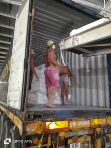 Choclo Almidón de maíz Alimento Grado industrial Maíz Harina de maíz dulce Orgánico No OGM Origen Vietnam - Product Image 4