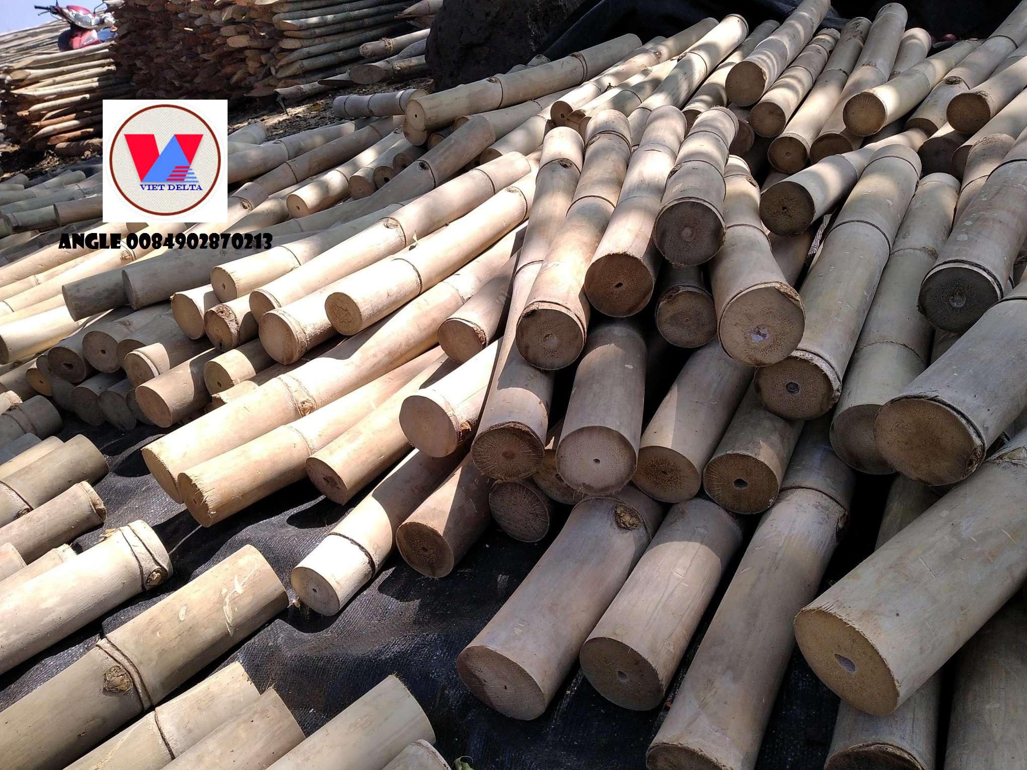 ธรรมชาติ