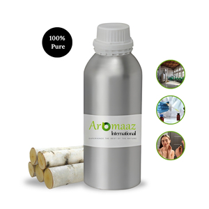 Proveedor a granel de aceite esencial de abedul blanco destilado al vapor de la mejor calidad 100ml 50ml 30ML botellas-Aromaaz Betula Lenta - Product Image 1