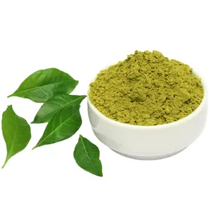 Buy Bulk Suppliers 100% Natural Henna Powder For Multi Type Hair Uses Manufacture in India For Sale Henna Powder