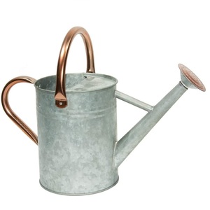 Arrosoir en métal artisanal de luxe pour jardin, arrosoir en métal de qualité durable avec finition noire pour la maison - Product Image 4