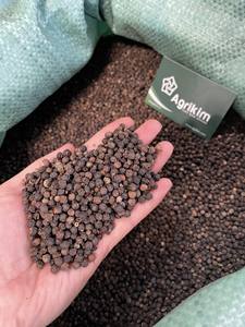 Saborizante de pimienta negra seca natural WS + 84359166896 con certificaciones completas, procesamiento crudo, precio barato, listo para enviar - Product Image 2