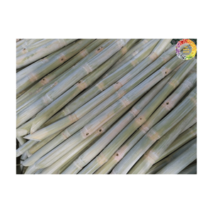 Palitos de caña de azúcar congelados de alta calidad de Vietnam para exportación: palitos de caña de azúcar pelados de alta calidad y al mejor precio - Product Image 1