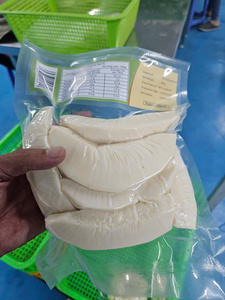 Wholesale IQF Frozen Breadfruit (Sake) | Natural Sustainable and Delicious - Product Image 6