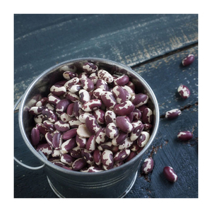 Granos de azúcar disponibles a granel para distribuidores e importadores de alimentos de todo el mundo - Product Image 5