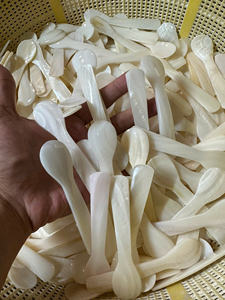 ช้อนไข่มุกสไตล์สัตว์ งานฝีมือทำมือจากเวียดนาม ยอดขายดี เป็นมิตรกับสิ่งแวดล้อม เหมาะสำหรับอาหารระดับพรีเมียม งานฝีมือประณีต ขัดเงาอย่างดี - Product Image 3