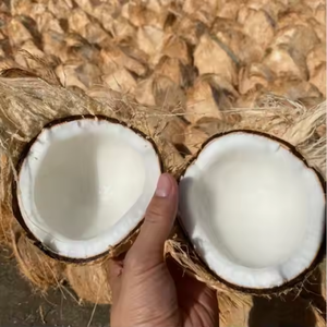 Cocos secos orgánicos: semidescascarillados Cocos, frutas tropicales del proveedor vietnamita, cocos secos de alta calidad - Product Image 1