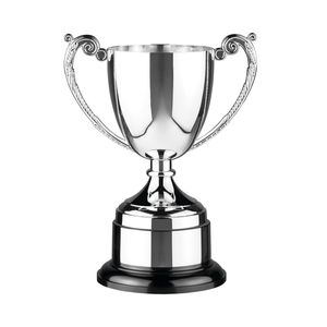 Copa de Trofeo de Cricket de Metal de Primera Calidad para Exhibición de Premios de Campeonato - Product Image 1