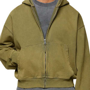 Offre Spéciale automne couleur unie hommes à manches longues fermeture éclair Hoodies avec des couleurs et des tailles personnalisées - Product Image 5