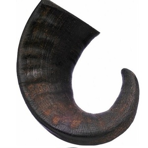 Venta al por Mayor de Cuerno de Búfalo Natural para Masticar para Perros, Alimento para Perros de Razas Grandes de Exportador Indio - Product Image 2