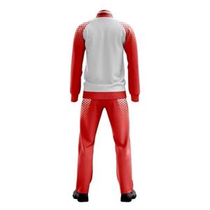 Ensemble de survêtement de sport d'hiver pour homme, 100% coton, écologique, 2 pièces, fermeture éclair intégrale, entraînement en salle de sport, taille plus, prix d'usine - Product Image 5