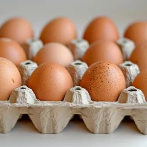 Fresh Brown Table <b>Eggs</b> /Chicken <b>Eggs</b>, Sell At Best Rate Farm Fresh Chicken Table Brown <b>Eggs</b> - Product Image 5