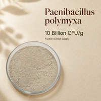 YINGHEYING Paenibacillus Polymyxa Biofertilisant pour le traitement des semences, Poudre de qualité agricole 10 milliards UFC/g pour cultures
