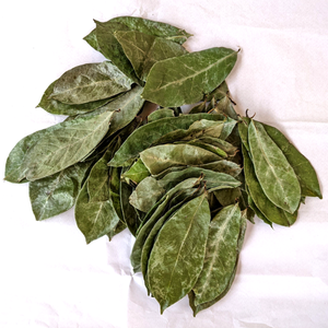 FEUILLES DE SOURSOP SÉCHÉES-PRIX CONCURRENTIEL | QUALITÉ D'EXPORTATION SUPÉRIEURE - Product Image 6