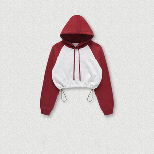 Hoodies Manufacturer Custom Color Block Raglan Sleeve <b>Crop</b> <b>Top</b> Hoodies Women's Hoodies - Product Image 5